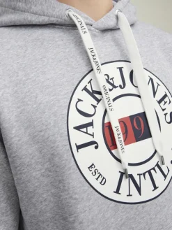 Jack & Jones Pullover & Sweatshirts*JORINTERNATIONAL SWEAT HOOD LN Light Grey Melange