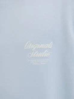 Jack & Jones Pullover & Sweatshirts*JORNORREBRO TYPO BACK SWEAT HOOD SN skyway