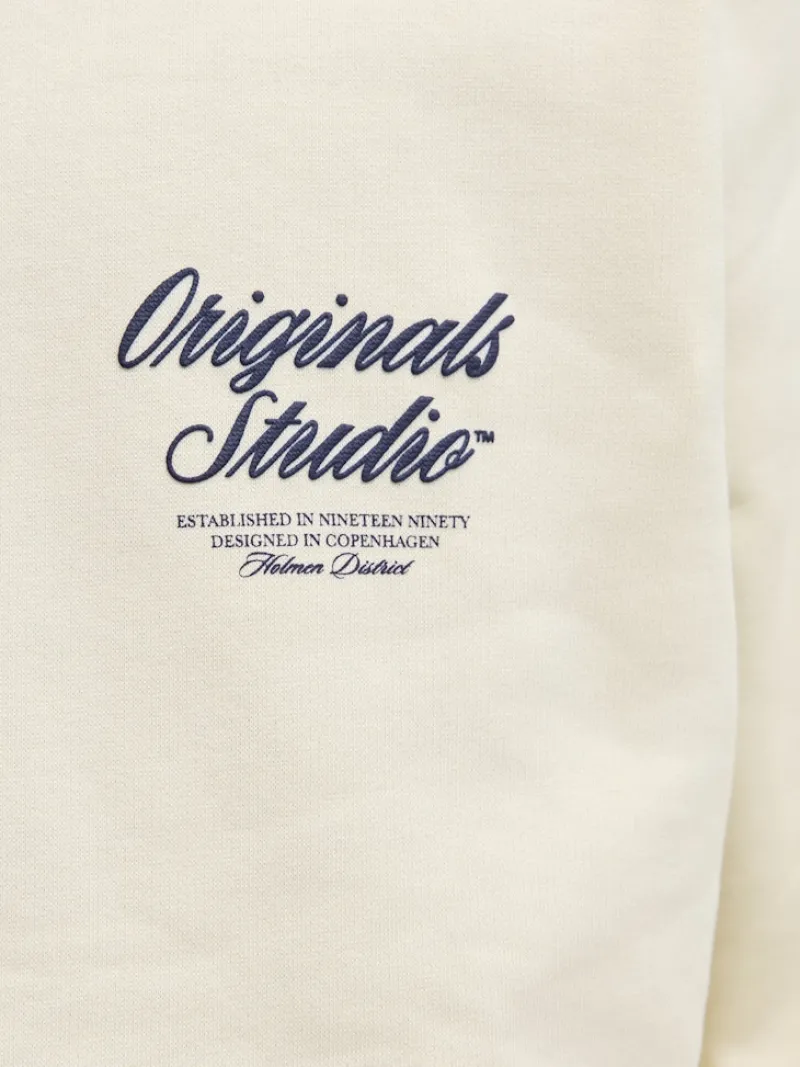 Jack & Jones Pullover & Sweatshirts*JORNORREBRO TYPO BACK SWEAT HOOD SN antique white