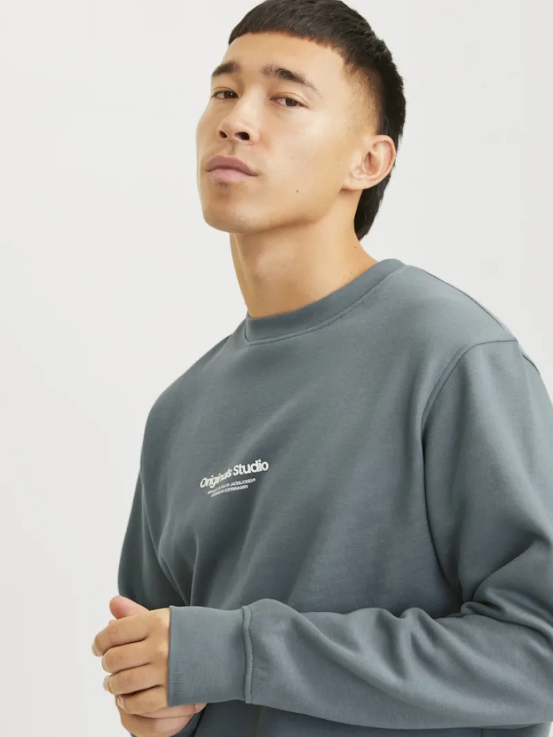 Jack & Jones Pullover & Sweatshirts*JORVESTERBRO SWEAT CREW NECK NOOS Stormy Weather