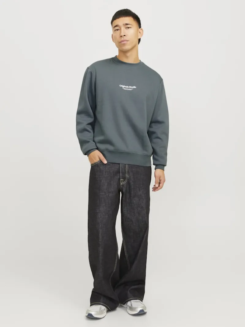 Jack & Jones Pullover & Sweatshirts*JORVESTERBRO SWEAT CREW NECK NOOS Stormy Weather