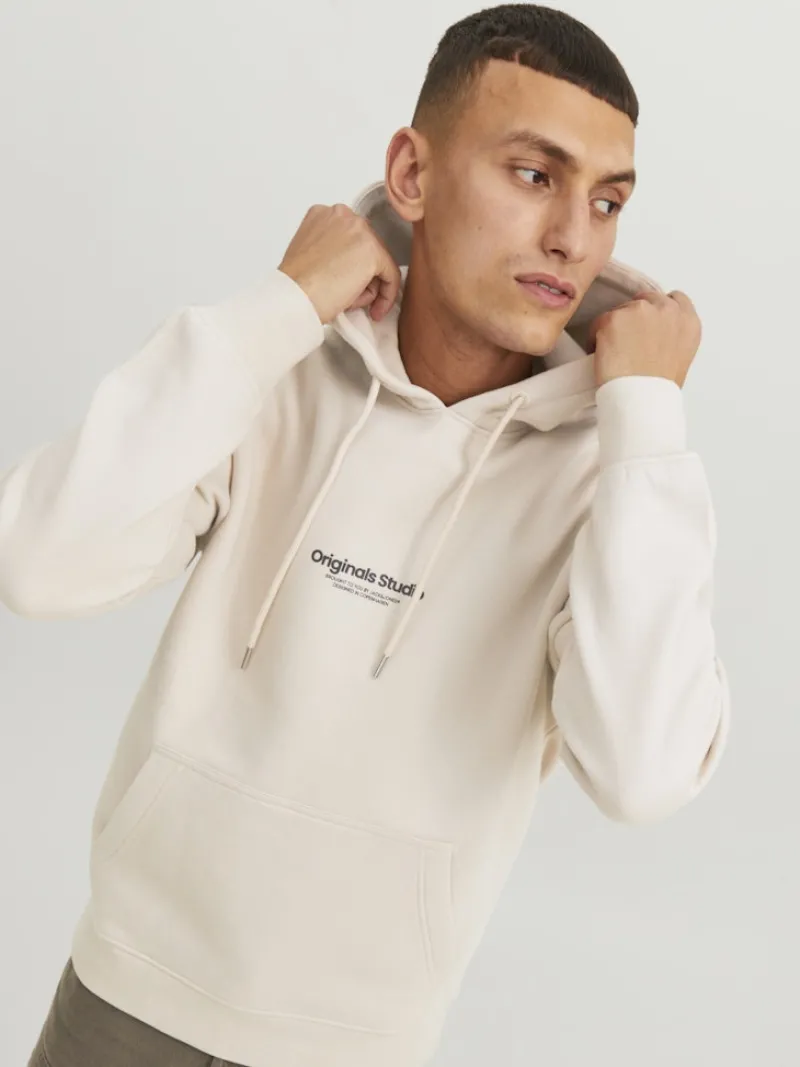 Jack & Jones Pullover & Sweatshirts*JORVESTERBRO SWEAT HOOD NOOS moonbeam