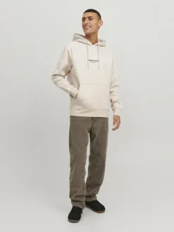 Jack & Jones Pullover & Sweatshirts*JORVESTERBRO SWEAT HOOD NOOS moonbeam