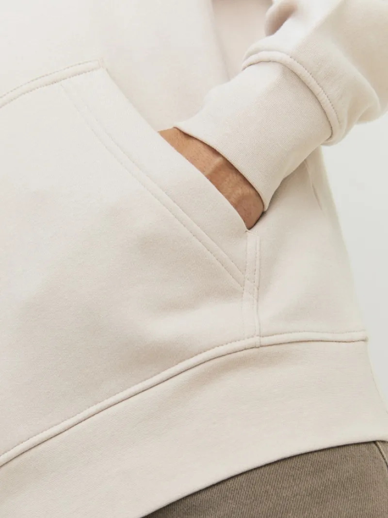 Jack & Jones Pullover & Sweatshirts*JORVESTERBRO SWEAT HOOD NOOS moonbeam