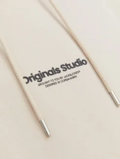 Jack & Jones Pullover & Sweatshirts*JORVESTERBRO SWEAT HOOD NOOS moonbeam