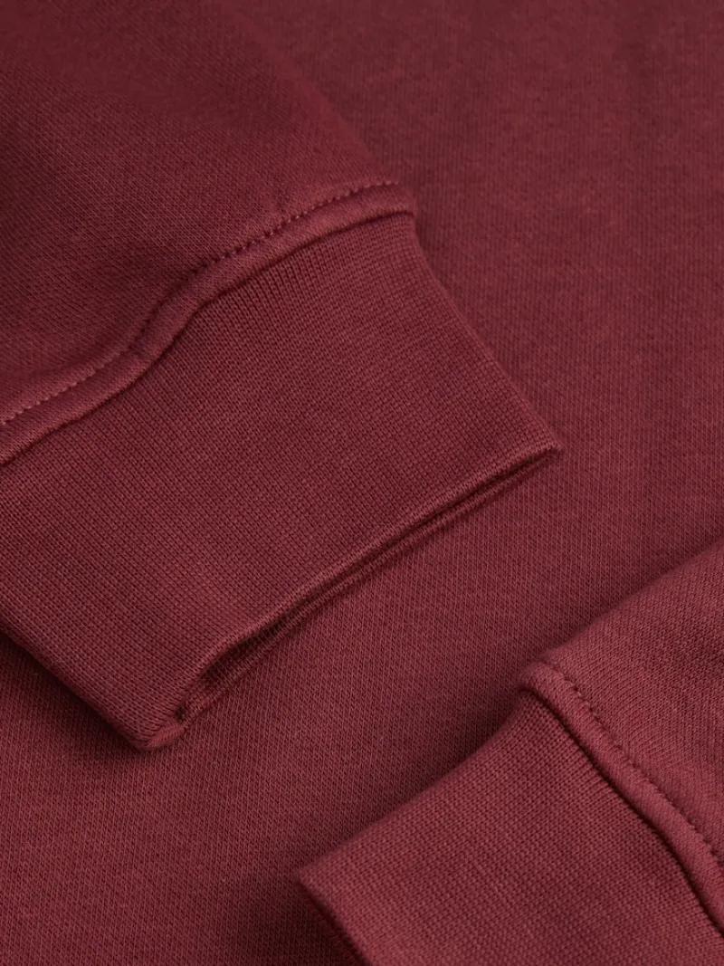 JJXX Pullover & Sweatshirts*JXABBIE RLX LS EVERY HOOD SWT NOOS cabernet