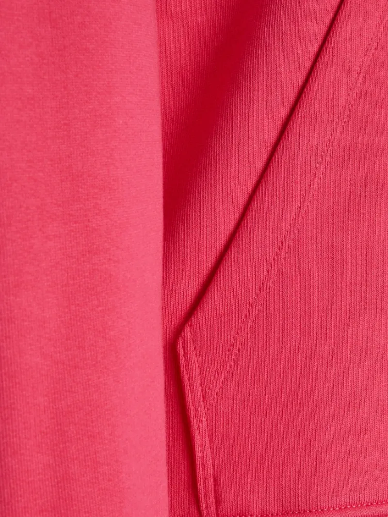 JJXX Pullover & Sweatshirts*JXANINA LS REL EVERY HOODIE NOOS bright rose
