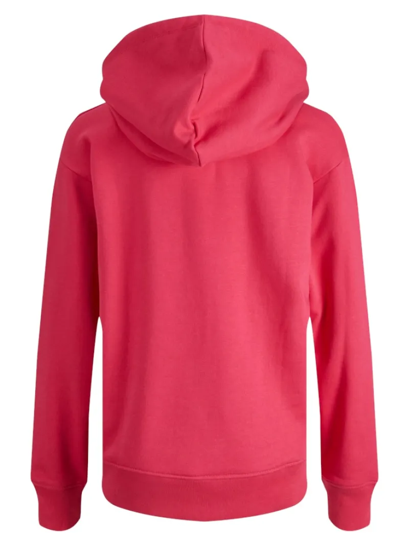 JJXX Pullover & Sweatshirts*JXANINA LS REL EVERY HOODIE NOOS bright rose