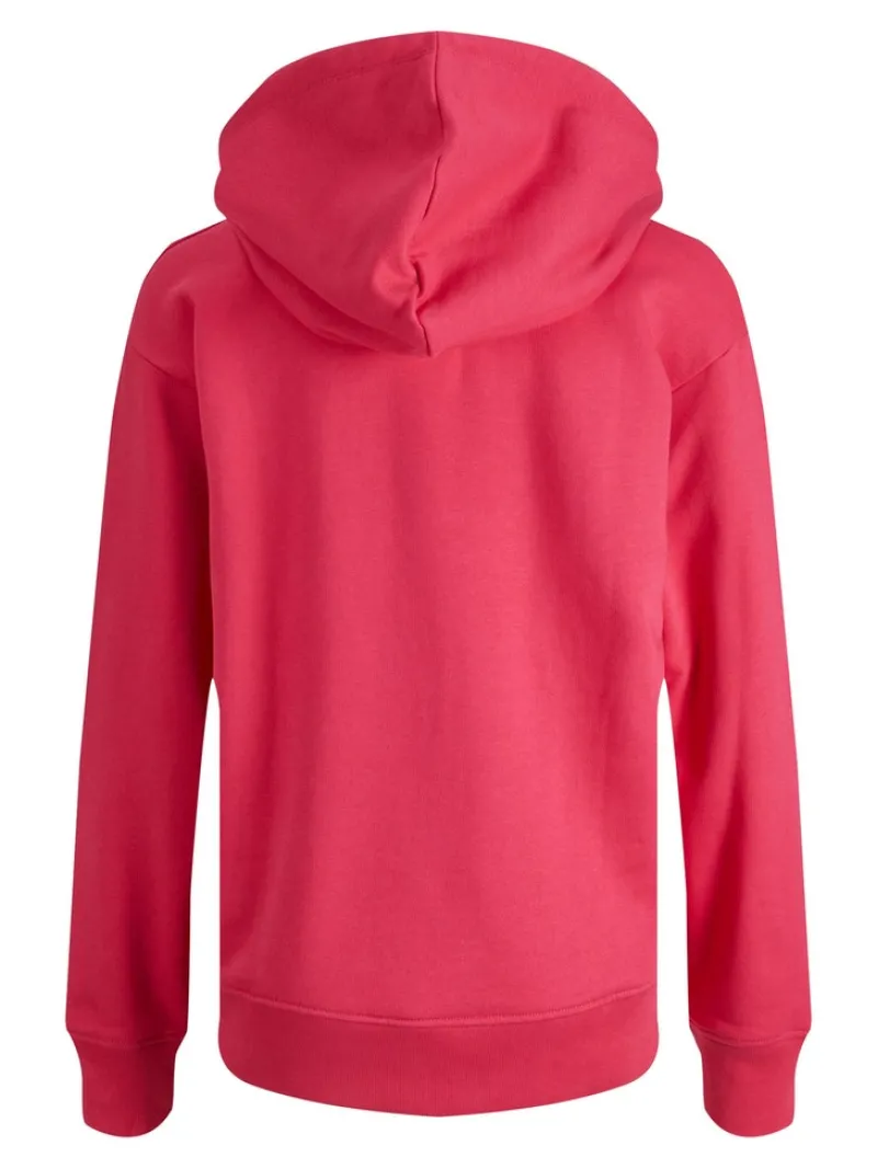 JJXX Pullover & Sweatshirts*JXANINA LS REL EVERY HOODIE NOOS bright rose