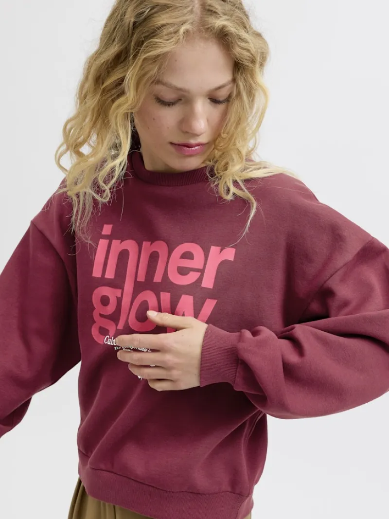 JJXX Pullover & Sweatshirts*JXMIMI RLX LS PRINT CREW SWT cabernet