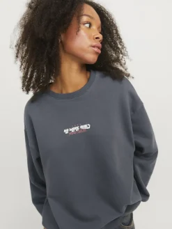 JJXX Pullover & Sweatshirts*JXSANDRA RLX LS CREW SWT Asphalt