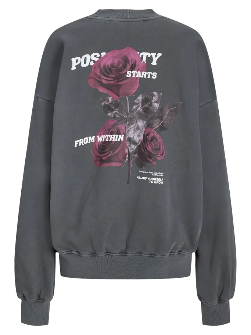 JJXX Pullover & Sweatshirts*JXSANDRA RLX LS WASH CREW SWT Black