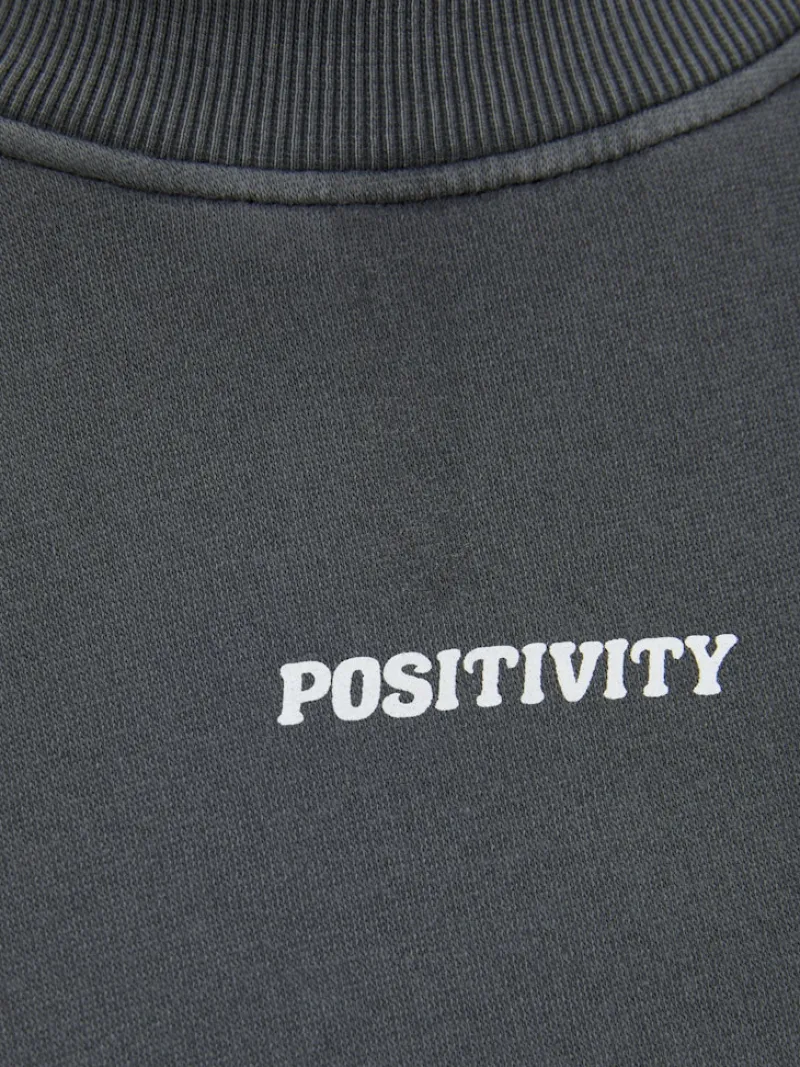 JJXX Pullover & Sweatshirts*JXSANDRA RLX LS WASH CREW SWT Black