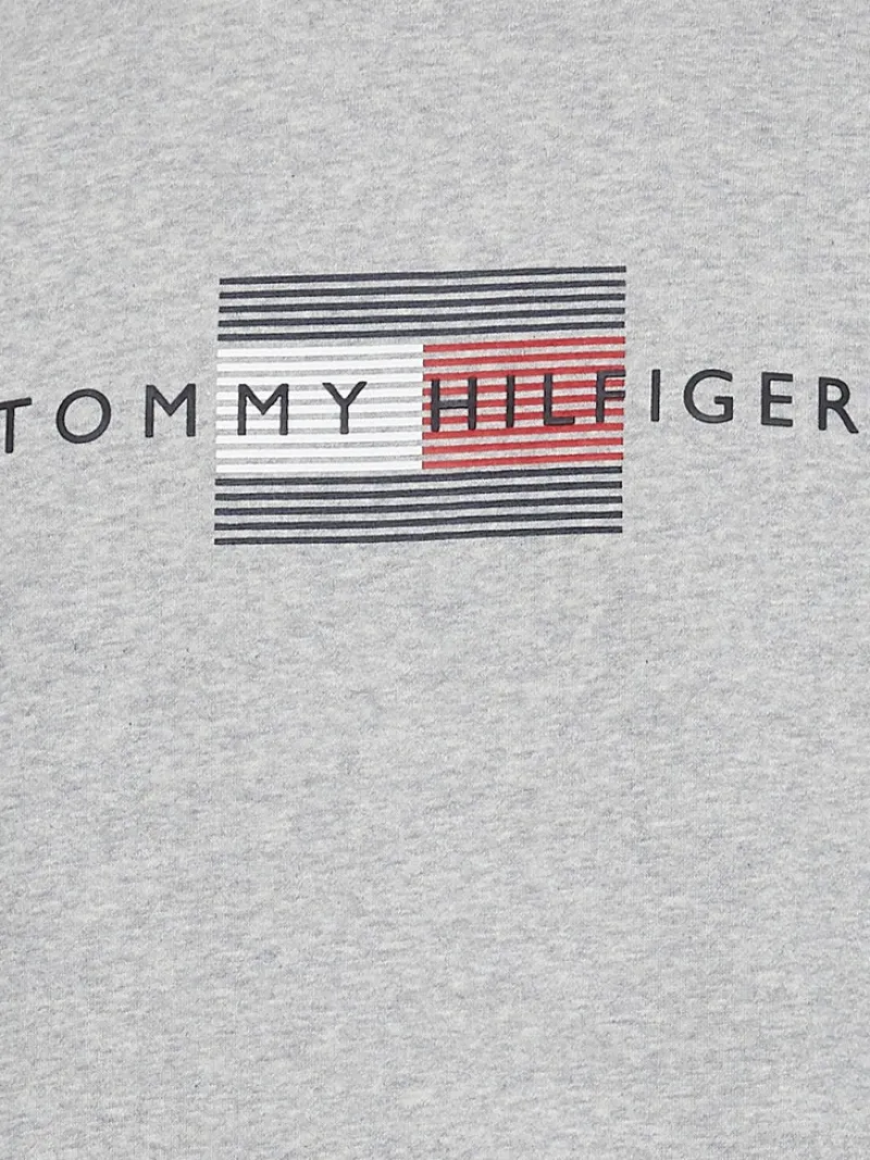 Tommy Hilfiger Pullover & Sweatshirts*LINES HILFIGER CREWNECK light grey heather