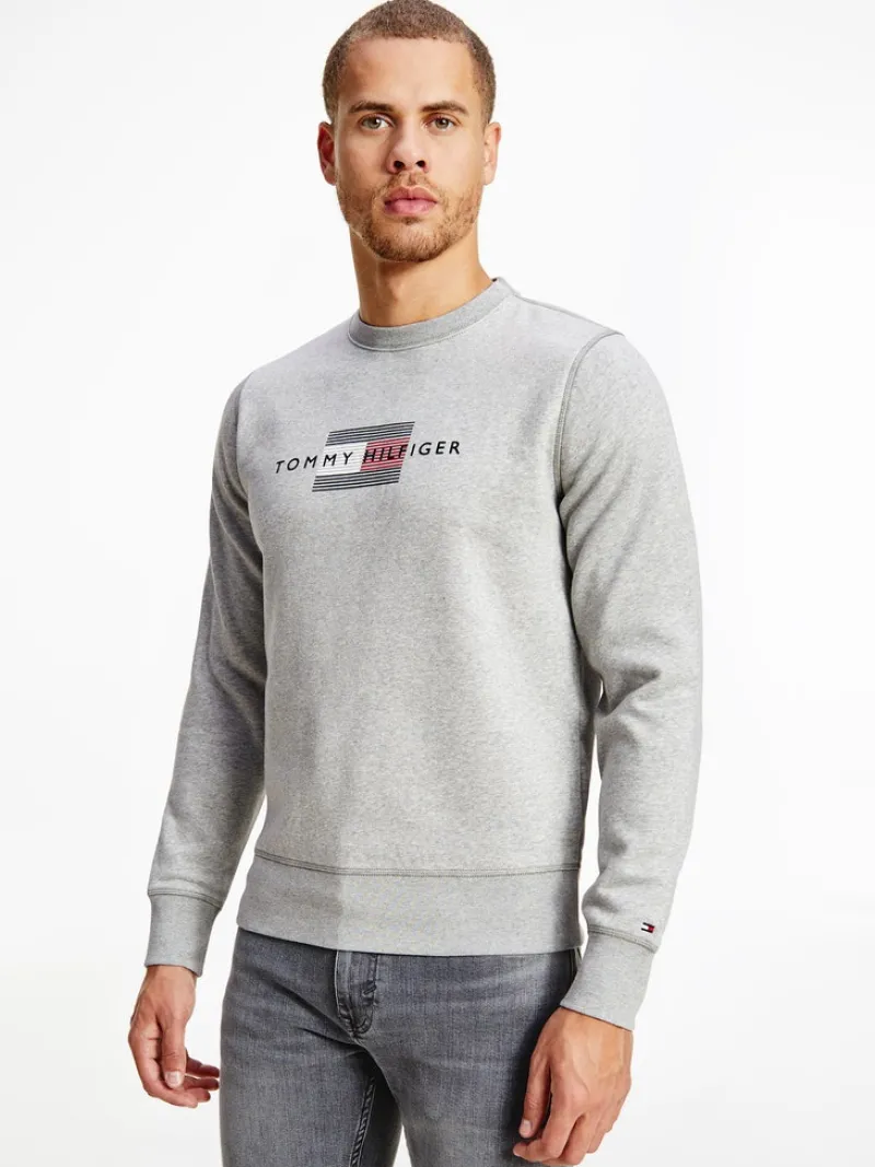 Tommy Hilfiger Pullover & Sweatshirts*LINES HILFIGER CREWNECK light grey heather
