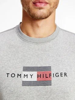 Tommy Hilfiger Pullover & Sweatshirts*LINES HILFIGER CREWNECK light grey heather