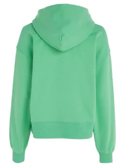 Calvin Klein Jeans Pullover & Sweatshirts*MICRO MONOLOGO HOODIE neptunes wave