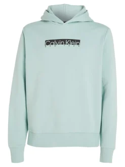 Calvin Klein Pullover & Sweatshirts*NEW YORK BOX LOGO HOODIE ghost glacier