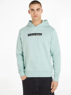 Calvin Klein Pullover & Sweatshirts*NEW YORK BOX LOGO HOODIE ghost glacier