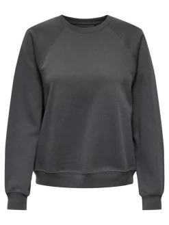 Only Pullover & Sweatshirts*ONLDAZE L/S O-NECK CC SWT magnet