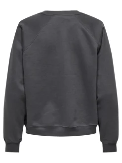 Only Pullover & Sweatshirts*ONLDAZE L/S O-NECK CC SWT magnet