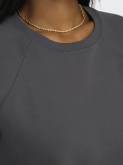 Only Pullover & Sweatshirts*ONLDAZE L/S O-NECK CC SWT magnet