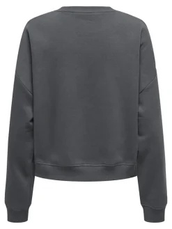 Only Pullover & Sweatshirts*ONLSWEAT LIFE L/S CREW O.SIZE STATE NOOS ombre blue