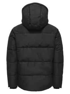 Only & Sons Jacken*ONSCARL LIFE QUILTED JACKET OTW Black