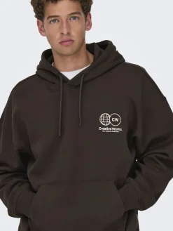 Only & Sons Pullover & Sweatshirts*ONSGALLERY VTG HOODIE Coffee Bean