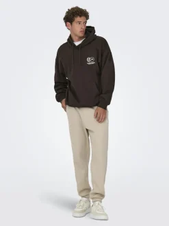 Only & Sons Pullover & Sweatshirts*ONSGALLERY VTG HOODIE Coffee Bean