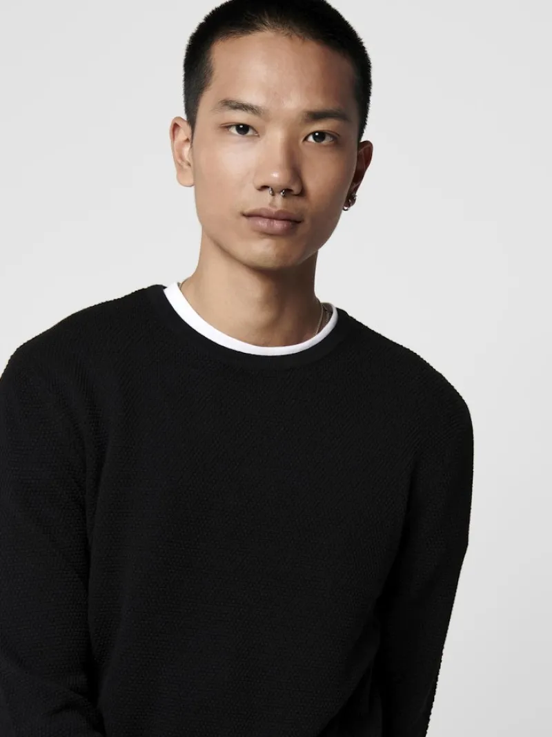 Only & Sons Pullover & Sweatshirts*ONSPANTER REG 12 STRUC CREW KNIT NOOS Black