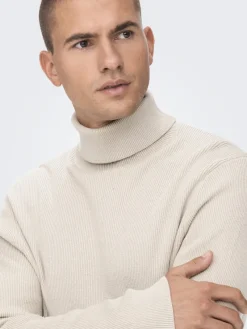 Only & Sons Pullover & Sweatshirts*ONSPHIL REG 12 STRUC ROLL NECK KNIT Silver Lining