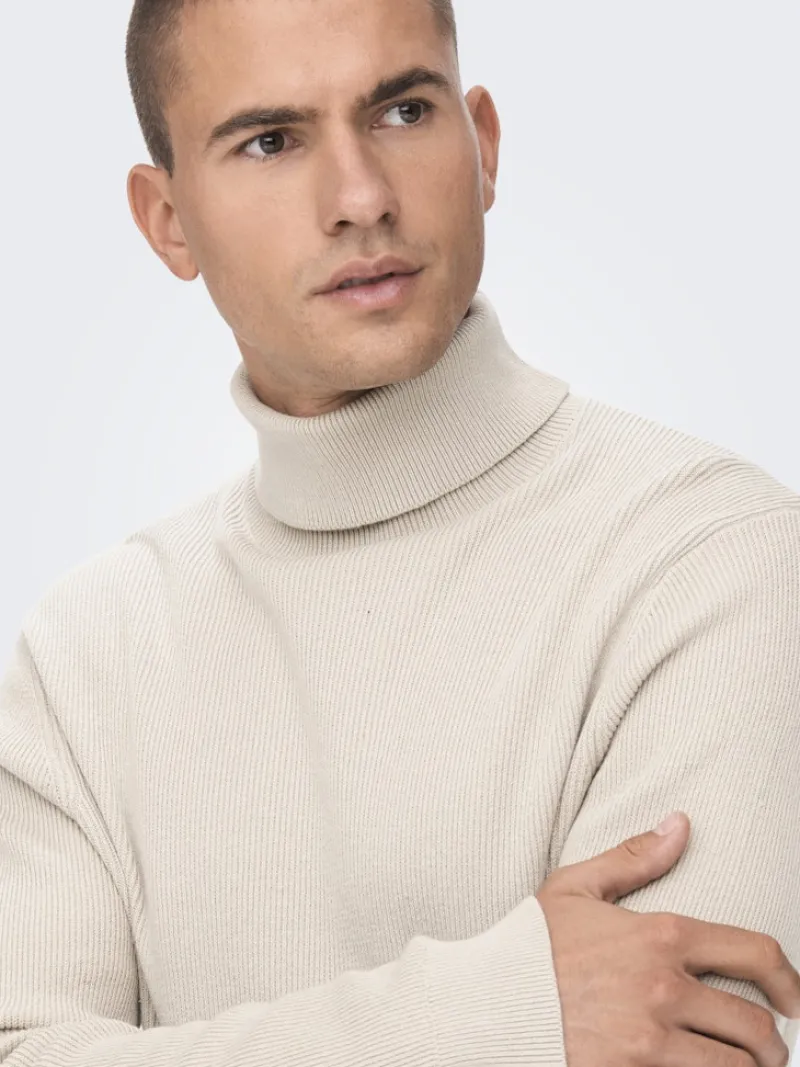 Only & Sons Pullover & Sweatshirts*ONSPHIL REG 12 STRUC ROLL NECK KNIT Silver Lining