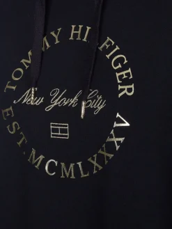 Tommy Hilfiger Pullover & Sweatshirts*REG METALLIC ROUNDALL HOODIE desert sky