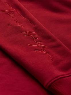 Tommy Hilfiger Pullover & Sweatshirts*REGULAR SCRIPT HOODIE regatta red