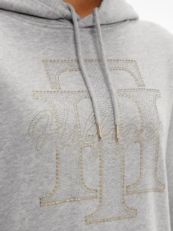 Tommy Hilfiger Pullover & Sweatshirts*REGULAR TH CRYSTAL HOODIE light grey heather