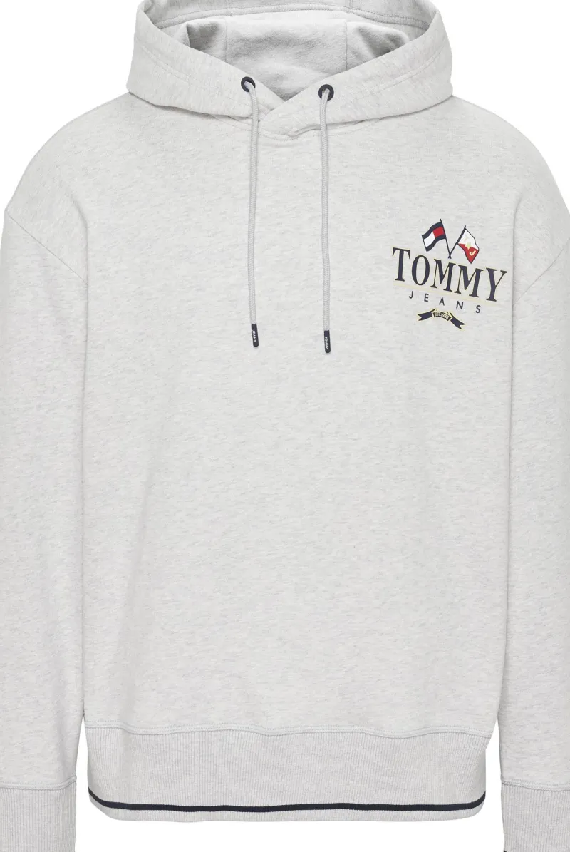 Tommy Jeans Pullover & Sweatshirts*RELAXED FIT SKATER-HOODIE MIT LOGO silver grey