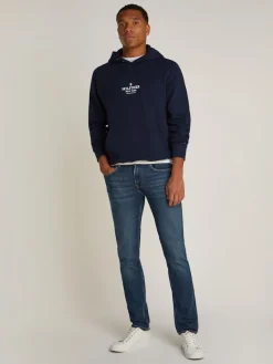 Tommy Hilfiger Pullover & Sweatshirts|Big Boys*RWB HILFIGER HOODIE desert sky