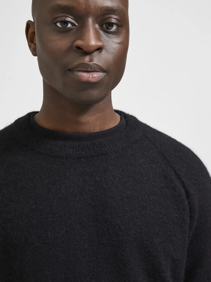 Selected Pullover & Sweatshirts*SLHRAI LS KNIT CREW NECK NOOS Black