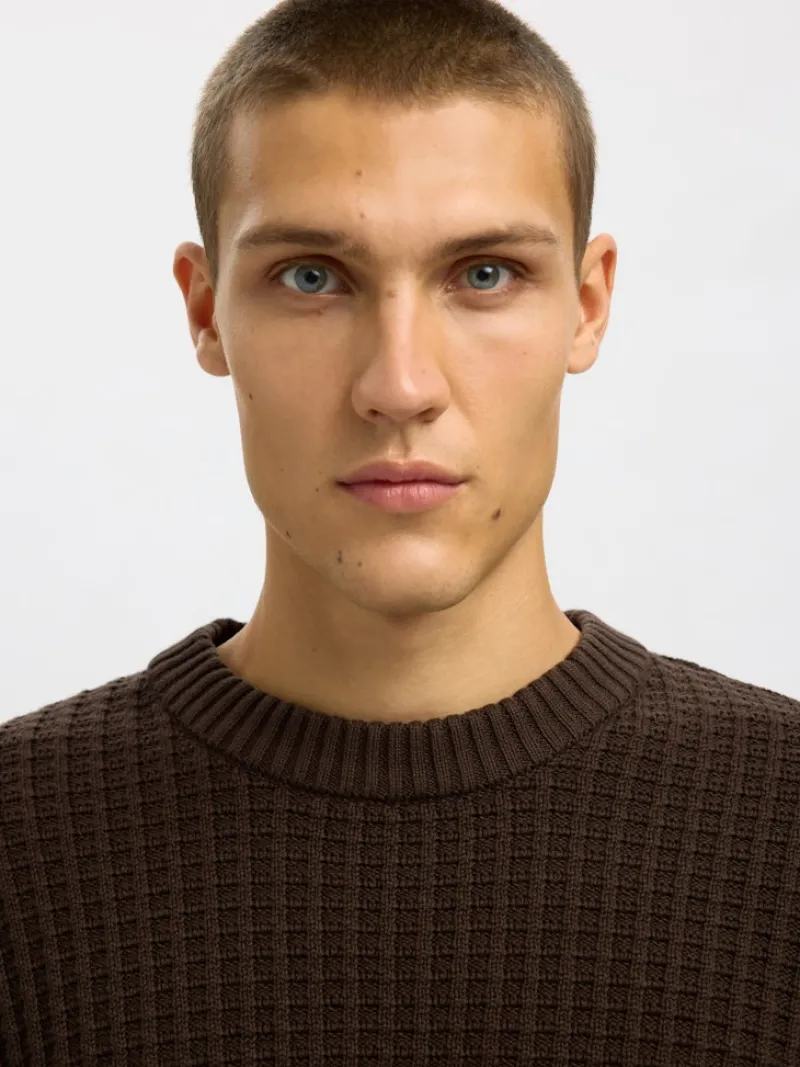 Selected Pullover & Sweatshirts*SLHTOM LS KNIT STRUCTURE CREW NECK Delicioso