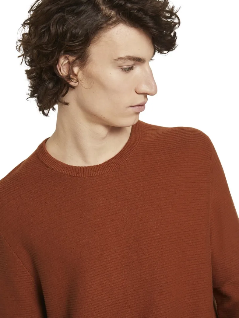 Tom Tailor Denim Pullover & Sweatshirts*Strickpullover goji orange