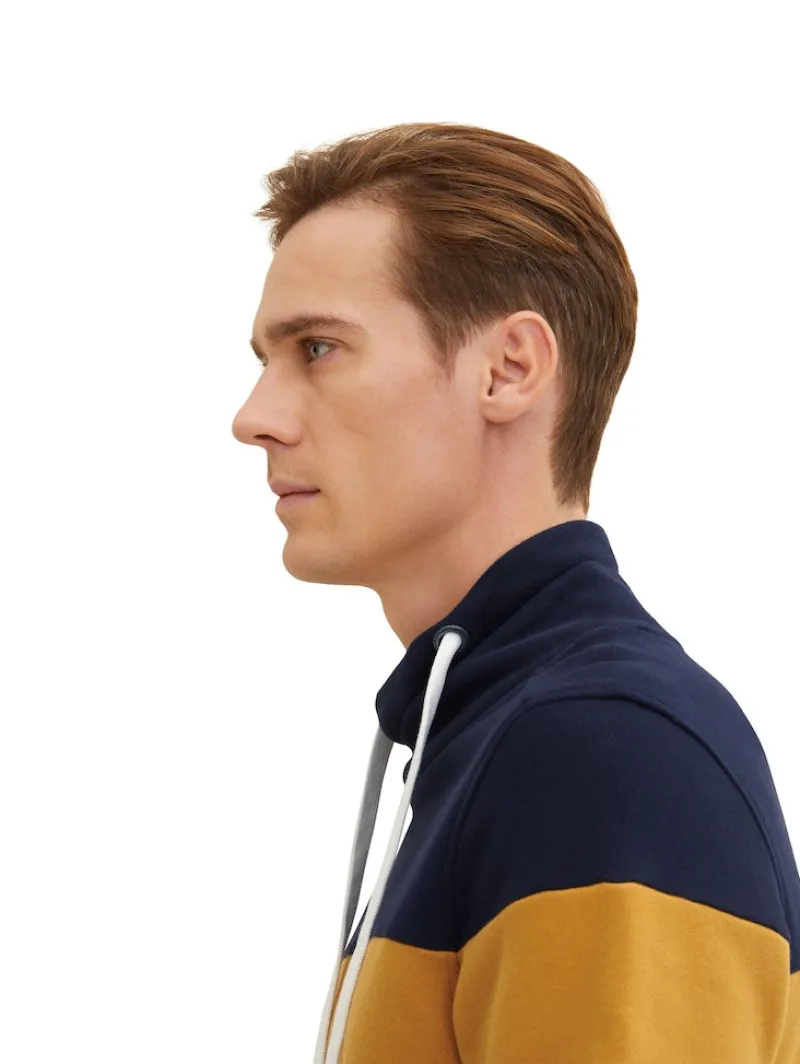 Tom Tailor Pullover & Sweatshirts|Big Boys*Sweatshirt mit Colour Blocking flame brown