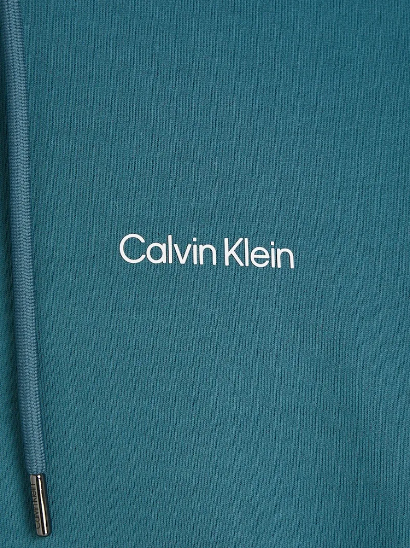 Calvin Klein Pullover & Sweatshirts*Sweatshirt Placement Logo foamy ocean