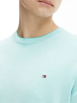 Tommy Hilfiger Pullover & Sweatshirts*TIPPED DOUBLE FACE CREW NECK oxygen