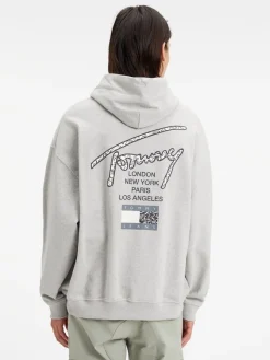 Tommy Jeans Pullover & Sweatshirts*TJM OVZ AOP BACK HOODIE silver grey htr