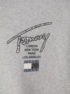 Tommy Jeans Pullover & Sweatshirts*TJM OVZ AOP BACK HOODIE silver grey htr