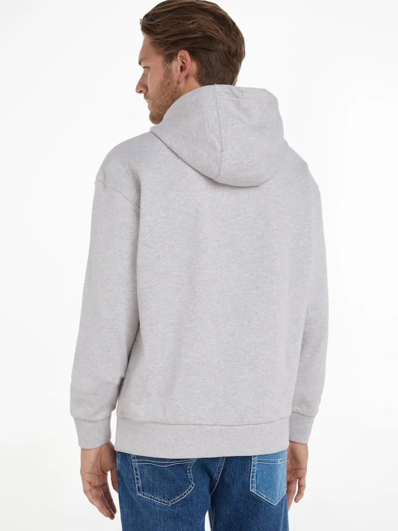 Tommy Jeans Pullover & Sweatshirts*TJM REG ATHLETIC LOGO HOODIE silver grey htr