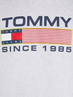 Tommy Jeans Pullover & Sweatshirts*TJM REG ATHLETIC LOGO HOODIE silver grey htr