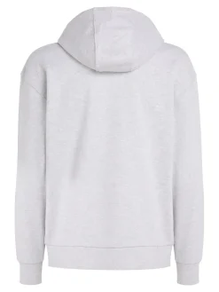 Tommy Jeans Pullover & Sweatshirts*TJM REG ATHLETIC LOGO HOODIE silver grey htr