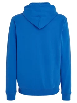 Tommy Jeans Pullover & Sweatshirts|Big Boys*TJM REG ESNTL GRAPHIC HOOD EXT meridian blue